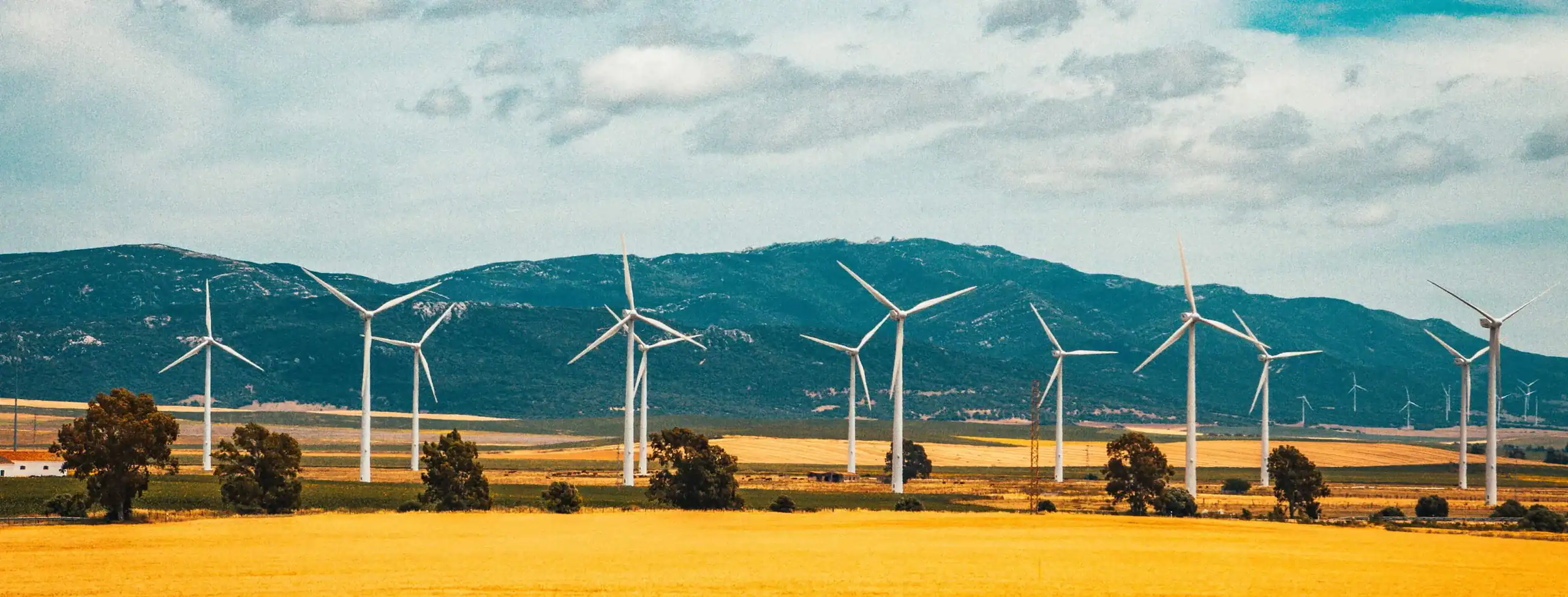 Wind turbines over an open field.