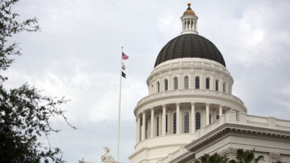 Image for State and Local Government
