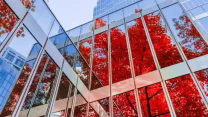 Autumn Leaves Reflecting On Office Building