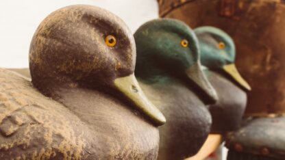 A trio of carved wooden ducks.