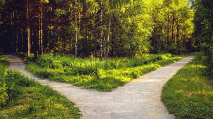 Divergence of directions. The wide path in the park is divided into two trails.